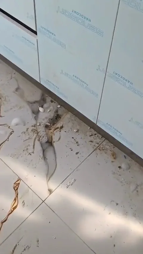 Mutfak temizliği öncesi gerçek çalışma görüntüsü